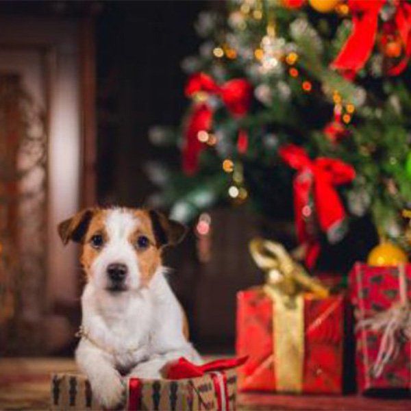 Поздравляем Вас с наступающим Новым Годом и Рождеством!